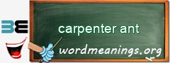 WordMeaning blackboard for carpenter ant